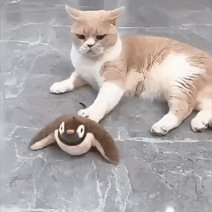 Brinquedo Pássaro Eletrônico para Gato